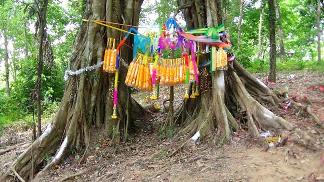 ขอหวยต้นไทร