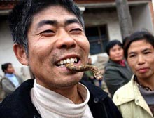 ฝันว่ากินงู