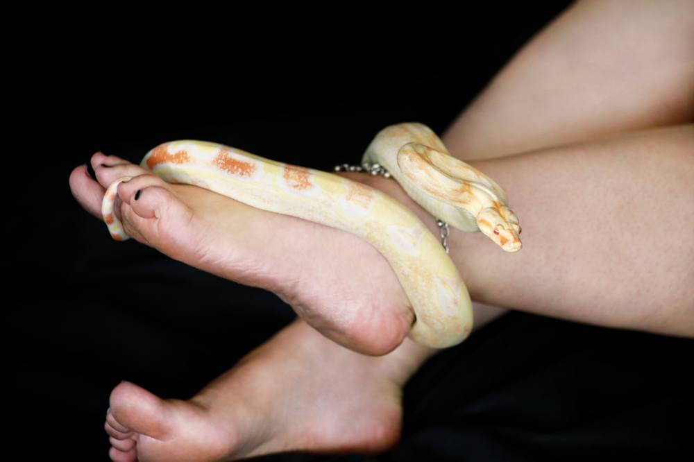 ฝันว่างูรัดขา