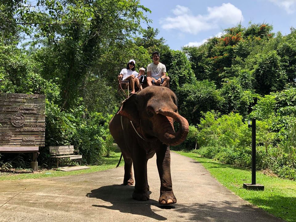 ฝันว่าได้ขี่ช้างตัวใหญ่