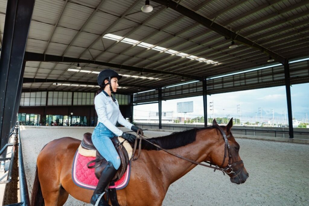 ฝันว่าขี่ม้า