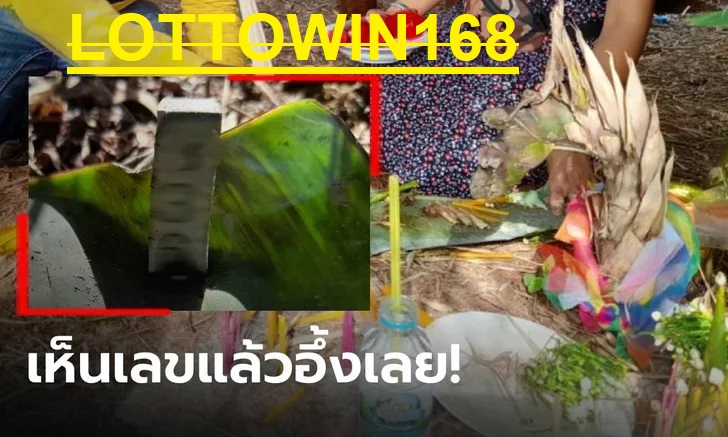 หน่อไม้เศียรพญานาคให้โชค