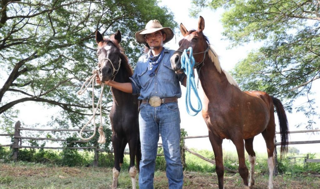 ฝันว่าเลี้ยงม้า