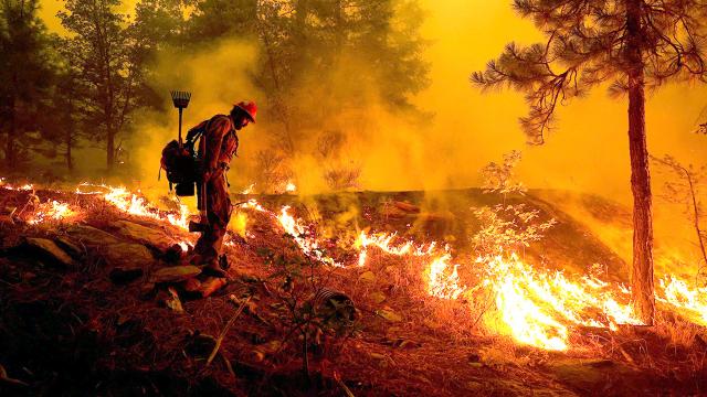 ฝันเห็นไฟไหม้ป่า