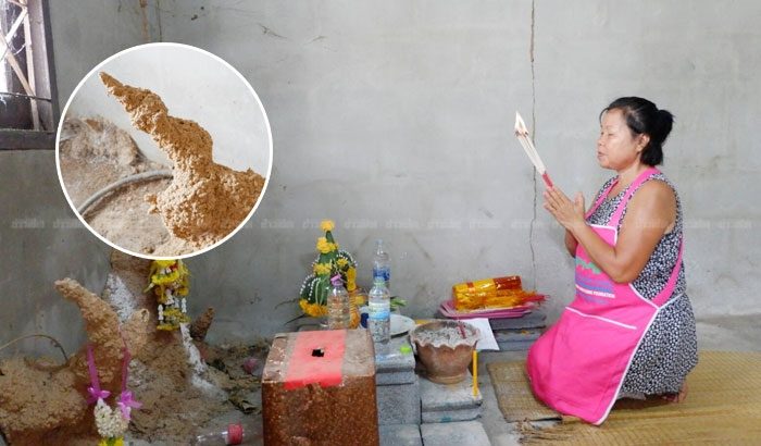 ฝันเห็นจอมปลวกในบ้าน