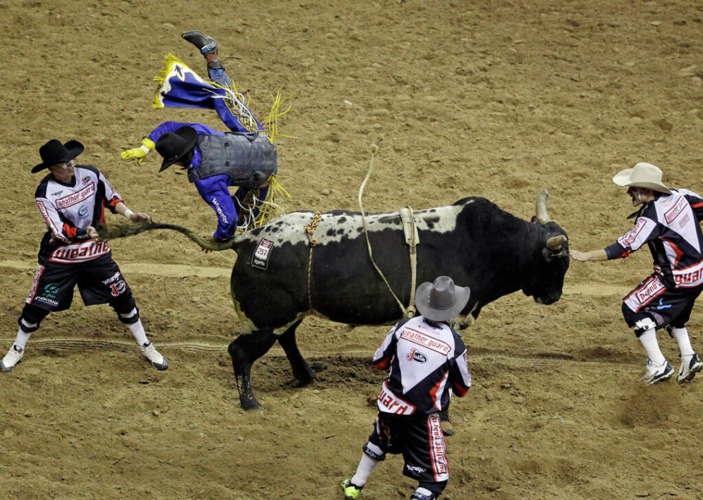 ฝันว่าโดนวัวเตะ