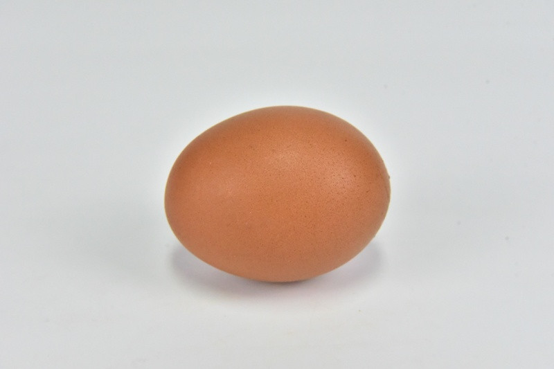 ฝันเห็นไข่ไก่ 1 ฟอง